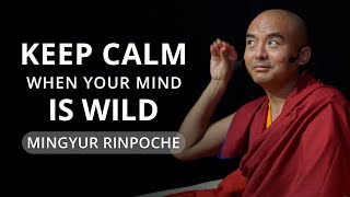 Keep Calm When Your Mind Is Wild  with Yongey Mingyur Rinpoche [upl. by Attiuqahs]