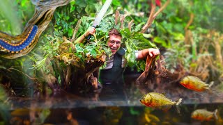 On complète la JUNGLE amazonienne de lAQUARIUM de 14000L [upl. by Shawna703]