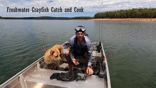 Freshwater Crayfish Catch and Cook [upl. by Caldeira]