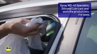 How To Protect Your Vehicles Rubber Seals with WD40 Specialist® Silicone Lubricant [upl. by Brottman]