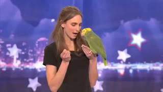 America’s Got Talent Parrot singing over the rainbow [upl. by Deutsch]