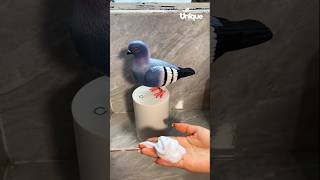 Pigeon Automatic Induction Foam Hand Washer Pigeon Soap Dispenser  machine shorts [upl. by Olatha]