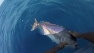 Sardinia Spydro fishing video [upl. by Tarah]