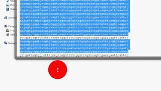 BioEdit Input Output sequence Files [upl. by Parrnell]