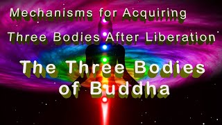 Tibetan Buddhism ⑦ The Three Bodies of Buddha Dharmakaya Sambhogakaya Nirmaṇakaya [upl. by Smitt]