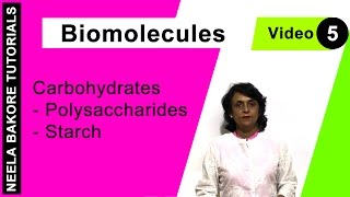 Biomolecules  NEET  Carbohydrates  Polysaccharides  Starch  Neela Bakore Tutorials [upl. by Evreh]