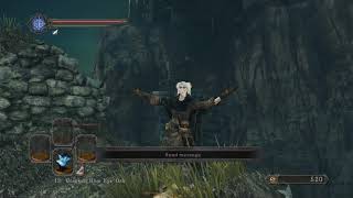 Obtaining Token of Fidelity and Pharros Lockstone in 20 seconds  Dark Souls 2 SOTFS [upl. by Orabelle]