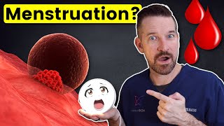 The TRUTH About Your Menstrual Cycle  4 Phases [upl. by End879]