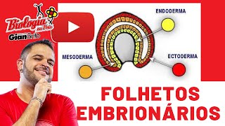 FOLHETOS EMBRIONÁRIOS  EMBRIOLOGIA [upl. by Einnaej852]