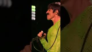 Ahhhmazing Soul to Squeeze Solo Red Hot Chili Peppers Rock Werchter [upl. by Katya]