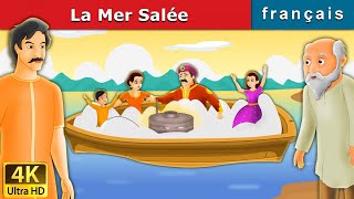 La Mer Salée  Salty Sea in French  Histoire Pour Les Petit  Contes De Fées Français [upl. by Haimehen]