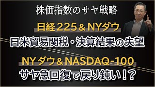 日経225＆NYダウは、日米貿易関税・決算結果の失望で日経225は上値を抑えられた！ NYダウ＆NASDAQ100は、サヤ急回復で中期線では戻りが鈍い！【サヤ取り戦略】 2024年11月25日（月） [upl. by Ahsila]