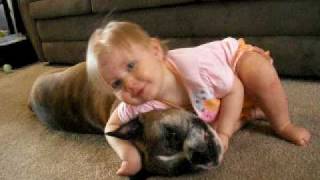 Jaidyn 1 yr old hugging our 11 yr old Boxer Sosa [upl. by Sharai333]