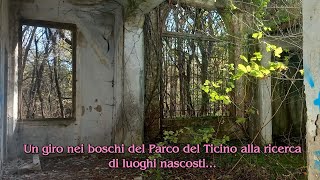 Un giro nei boschi del Parco del Ticino alla ricerca di luoghi nascosti Parte 1 [upl. by Isayg]