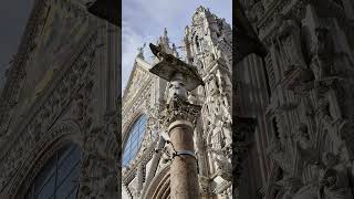 Duomo  Catedral de Siena italy [upl. by Aihseuqal417]