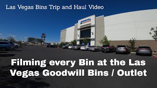 First Visit to the Las Vegas goodwill Bins [upl. by Leahcimal]