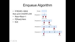 Queue Data Structure Enqueue and Dequeue [upl. by Akirdnahs]