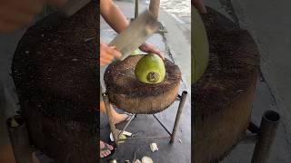 Fantastic Coconut Cutting viral coconut viral fruit cuttingfruit viralvideo cuttingskill [upl. by Atiuqa452]