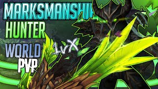 Soul NEEDS HELP  Marksmanship Hunter  1015 World PVP [upl. by Nileuqay]