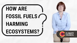 How are fossil fuels harming ecosystems [upl. by Aubarta312]