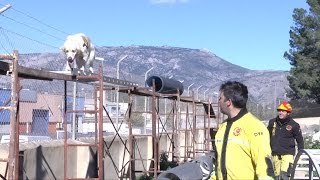 Enfermeros voluntarios en el rescate con perros  Cecova TV [upl. by Ynettirb]