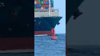 🌲EVERGREEN GIANT🌲 ON ARRIVAL🌊🌊 ship containership waves epic epic oiltanker roughseas bulk [upl. by Enahpets]