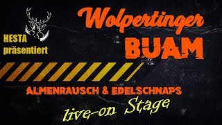 WolpertingerBuam  Almenrausch amp Edelschnaps official clip [upl. by Adnamaa]