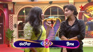 Bigg Boss Telugu 8  Day 70  Promo 1  Unforgettable Hilarious Moments 🤣 Nagarjuna  Star Maa [upl. by Iniretake963]