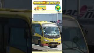 3 Ônibus escolares  Recife e região metropolitana  ÔNIBUS ESCOLAR shorts [upl. by Garry11]