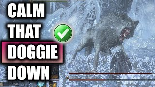 How To Easily Defeat The Gravetender Champion Duo Boss Fight In Dark Souls 3 Dlc [upl. by Mlohsihc230]