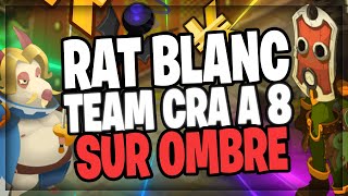 PETIT RAT BLANC TEAM CRA SUR OMBRE  DOUBLE SUCCES [upl. by Portland]