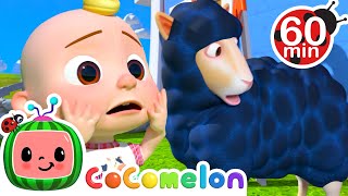 Little Blue Sheep Oh No  Best Animal Videos for Kids  Kids Songs and Nursery Rhymes [upl. by Zwick]