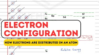 Electron Configuration Aufbau Pauli Exclusion Principle Hunds Rule neet cbsejeencert [upl. by Nauqas]