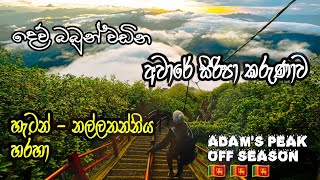 aware siripa karunawa 2023  අවාරේ සිරිපා කරුනාව 2023 HATTON  nallathanniya  adamspeak off season [upl. by Gula]