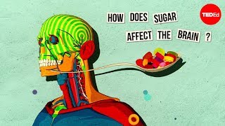 How sugar affects the brain  Nicole Avena [upl. by Larred806]