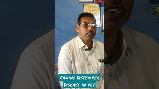 Canine Distemper disease ajaykaushik sheetalchhaya health distemper canine veterinary [upl. by Olpe]