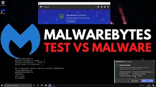 Malwarebytes 2022 Test vs Malware [upl. by Zashin982]