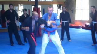 Wing Chun Kung Fu  Judo Sweep [upl. by Elfreda]