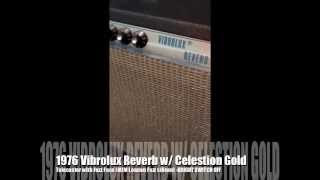 1976 Fender Vibrolux Reverb w Celestion Gold 10 speakers [upl. by Salita177]