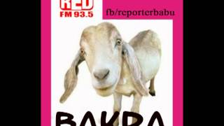 RED fm bakra with rj raj Id Proof 10th may telugu phone comedy [upl. by Dorene34]