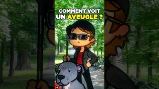 Comment voit un aveugle [upl. by Nobile48]