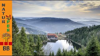 Wandern im Schwarzwald zur Grindenhütte am Mummelsee [upl. by Eladnwahs]