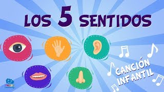 Los 5 sentidos  Canciones Educativas para Niños [upl. by Mariand]