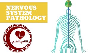 Leukodystrophies pathology [upl. by Reifel]