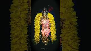 Kandha guru kavasam murugaa tamilkadavul palani malaysia vadapalani kundrathur thiruthani [upl. by Yule]