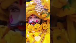 Hare k sahare ki Jai Jai shree khatu shyam baba ji ki jai ❤️❤️shayam diwanijab Jan haar k shayam [upl. by Sherie]