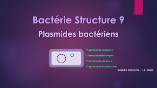 Bactérie Structure 9 MATERIEL GENETIQUE  PLASMIDES sans musique de fond [upl. by Ecyned]