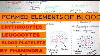 FORMED ELEMENTS OF BLOOD  ERYTHROCYTES  LEUCOCYTES  BLOOD PLATELETS  BY PHANINDRA GUPTHA [upl. by Essy457]