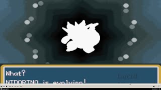 Pokemon Fire Red Nidoran male Evolves to Nidorino and to Nidoking [upl. by Nitas]