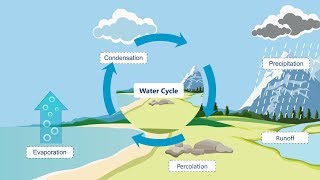 Watercycle process  hydrologicalcycle Watercycle Explanation  letsgrowup [upl. by Yelnek]